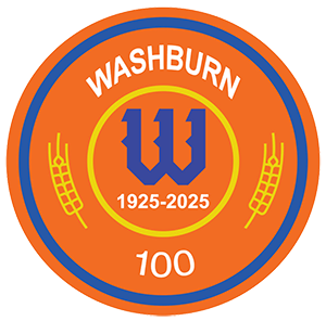 Washburn 100